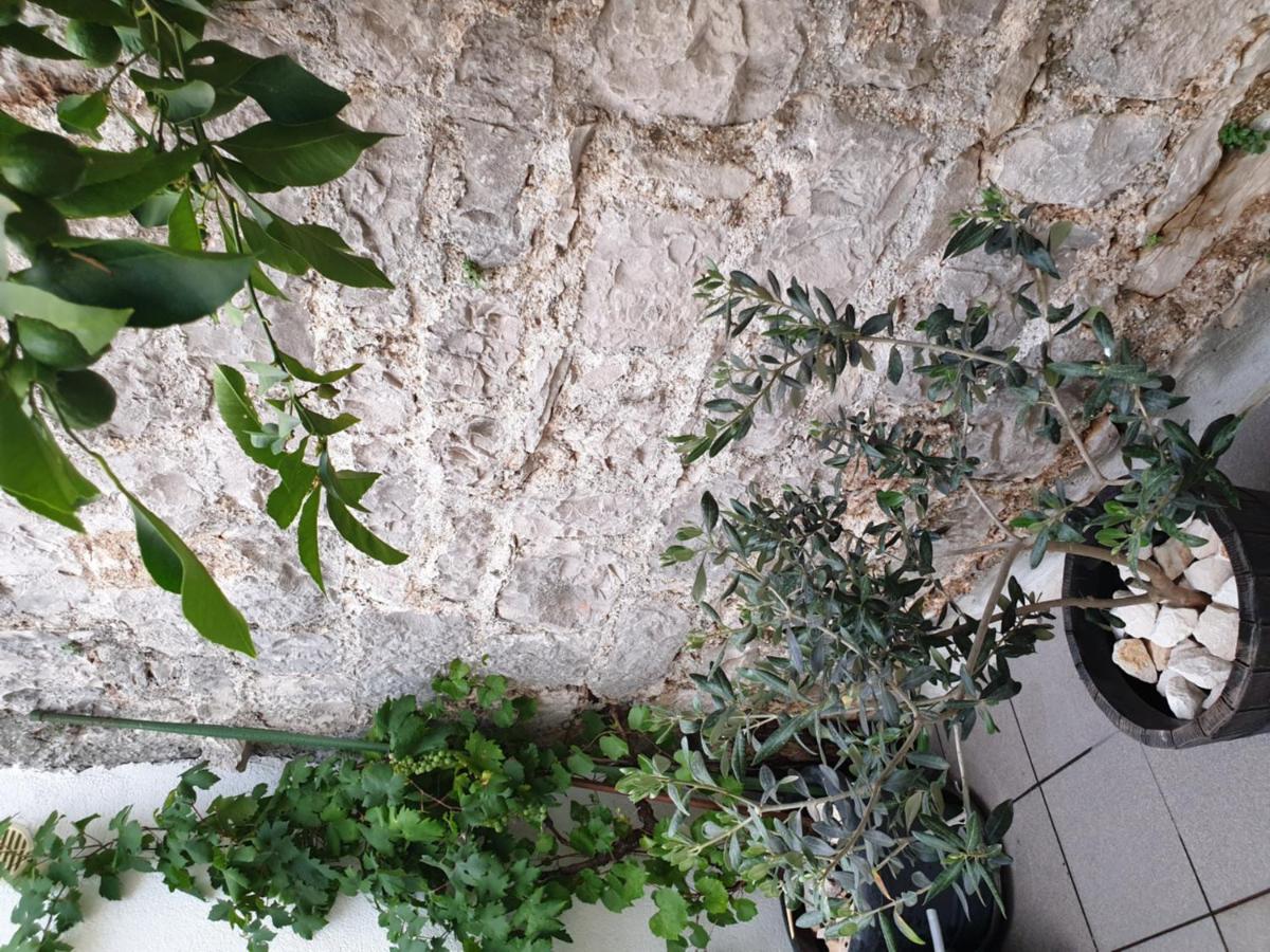 Отель Lemon Tree Сегет Доньи Экстерьер фото